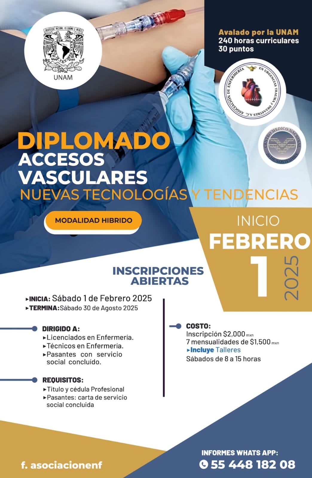 Diplomado de Accesos Vasculares 2025