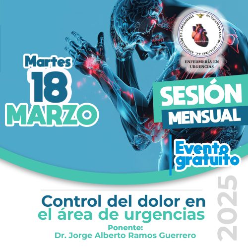 Copia de ENF Noviembre 2024